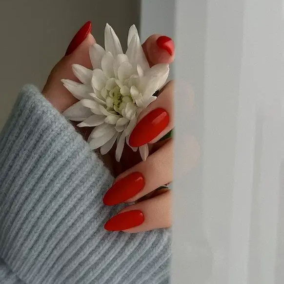 Foxy Гель-лак (Gel polish) #458, 8 ml-img-2