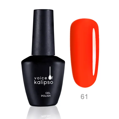 Gel Polish- гель-лак Voice of Kalipso, 10 мл, №061-img-0